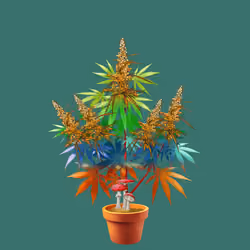 NFTokin #8865
