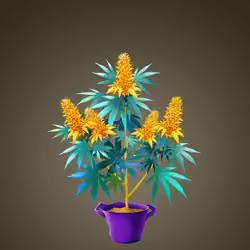 NFTokin #4903