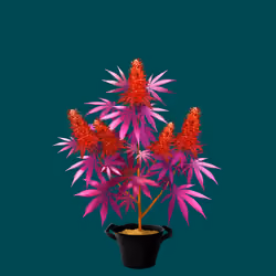 NFTokin #6734