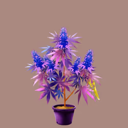 NFTokin #1555