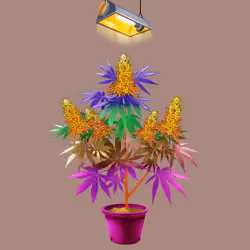 NFTokin #9771