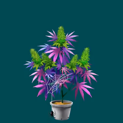NFTokin #3186