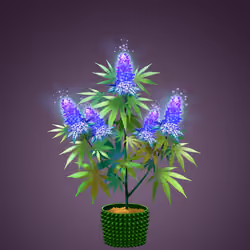NFTokin #10594