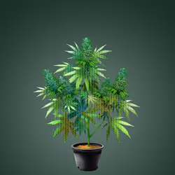 NFTokin #4090