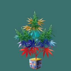 NFTokin #8791