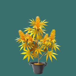 NFTokin #9615