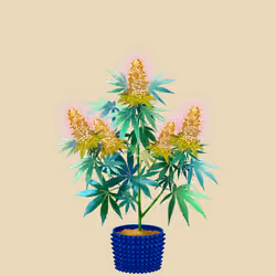 NFTokin #9183