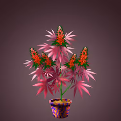 NFTokin #8156