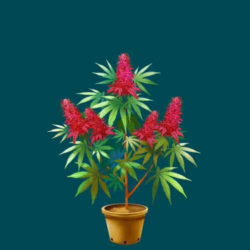 NFTokin #10628