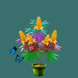 NFTokin #10904