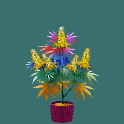 NFTokin #12626