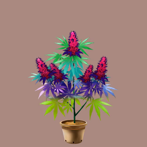 NFTokin #11780