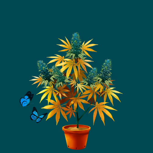 NFTokin #4557