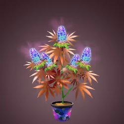 NFTokin #12198