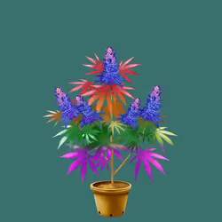 NFTokin #6192