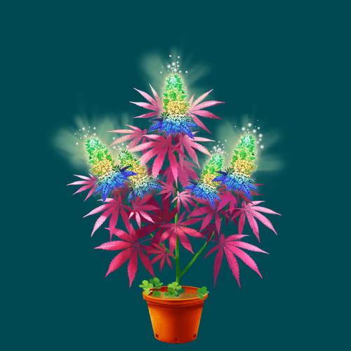 NFTokin #6967