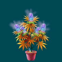 NFTokin #8347