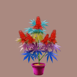 NFTokin #11169