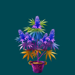 NFTokin #8519