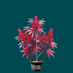 NFTokin #5408
