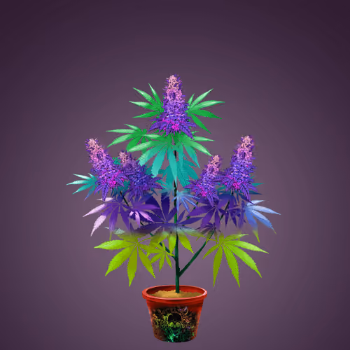 NFTokin #10261