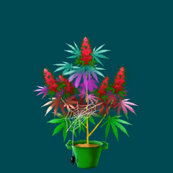 NFTokin #3598