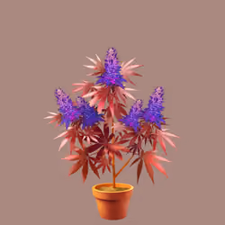 NFTokin #1992