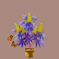 NFTokin #3892
