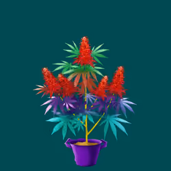 NFTokin #9136
