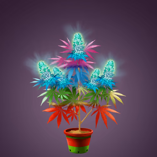 NFTokin #10562