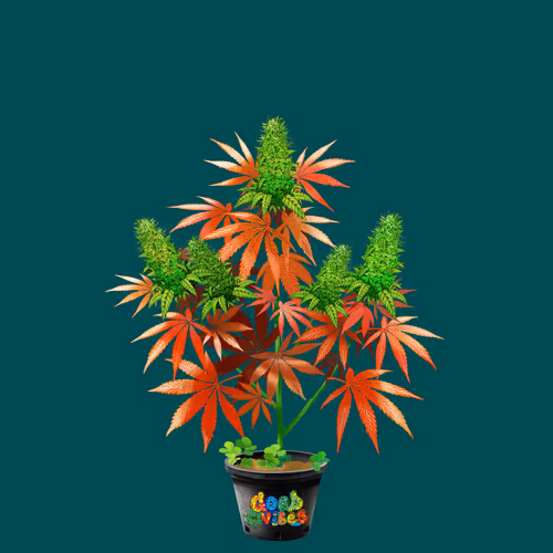 NFTokin #5511