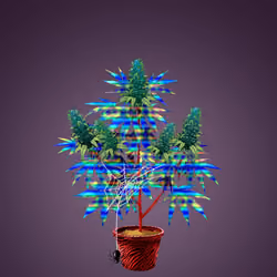 NFTokin #10464