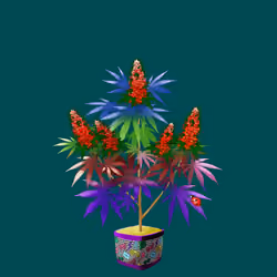 NFTokin #972