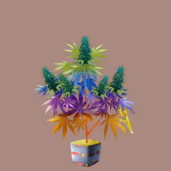 NFTokin #2376