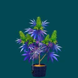NFTokin #4185