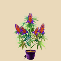 NFTokin #9185