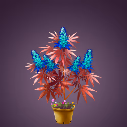 NFTokin #4597