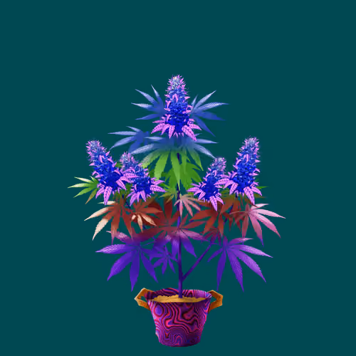 NFTokin #12807