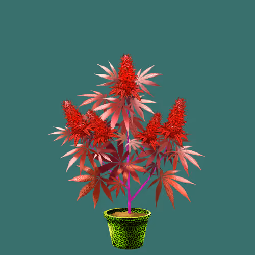NFTokin #7240