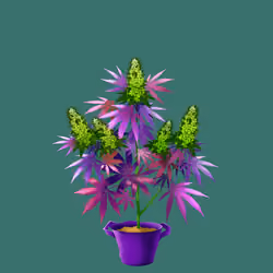 NFTokin #9352