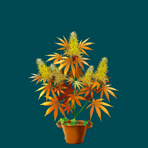 NFTokin #7533