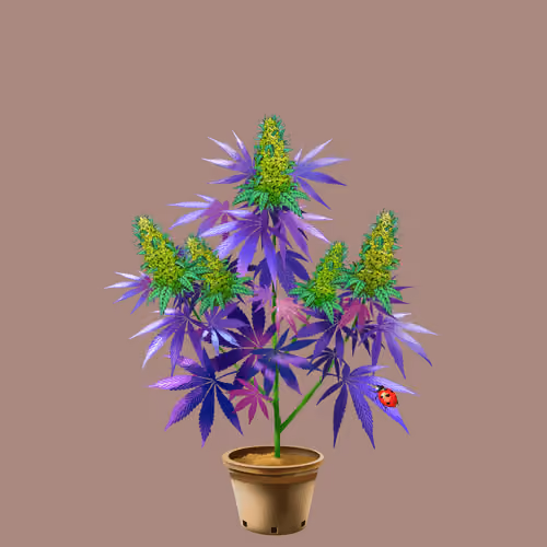 NFTokin #11432