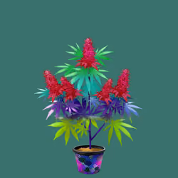 NFTokin #8730