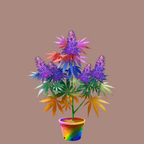 NFTokin #5937