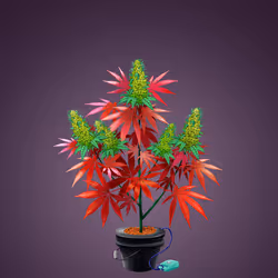 NFTokin #5322