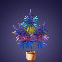 NFTokin #8162