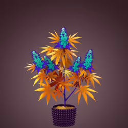 NFTokin #2089