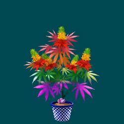 NFTokin #4798