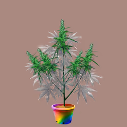NFTokin #5102