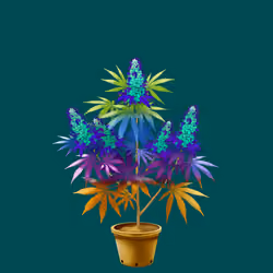 NFTokin #2392